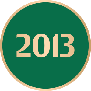 2013 badge