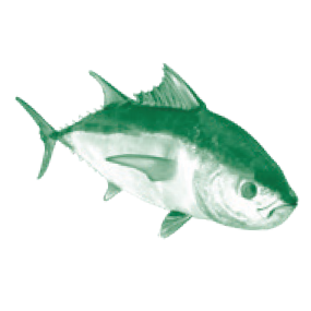 Морепродукты